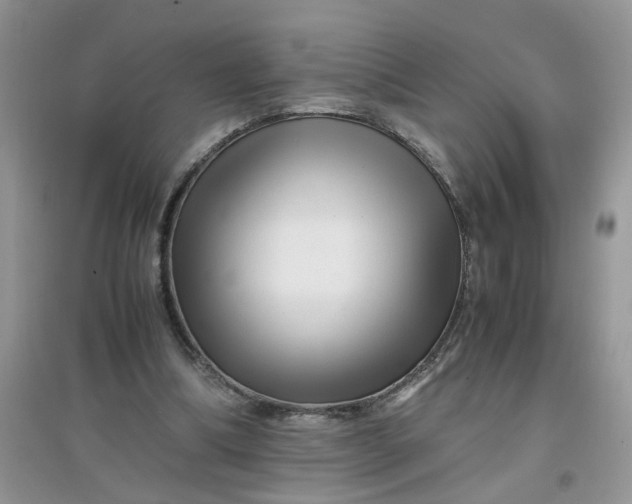 X0000097640298200803142053