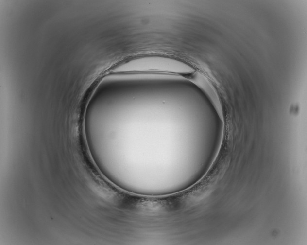 X0000097640299200803142053