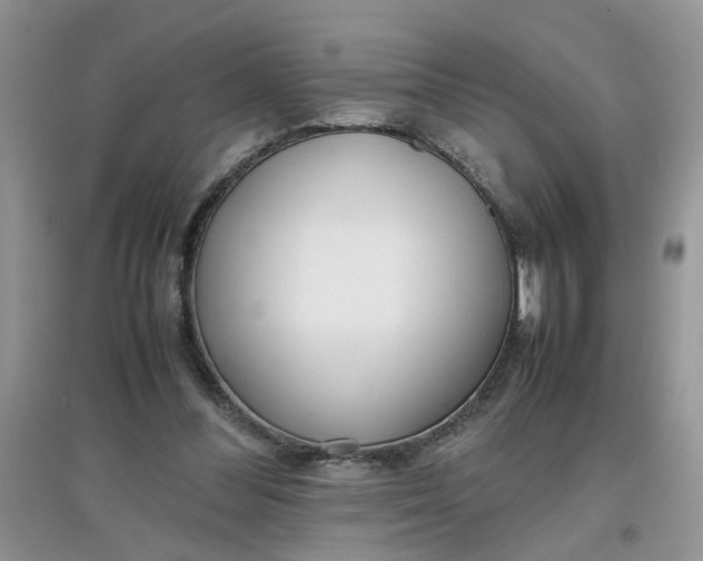 X0000097640300200803142053