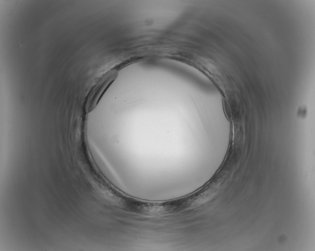 X0000097640301200803142053