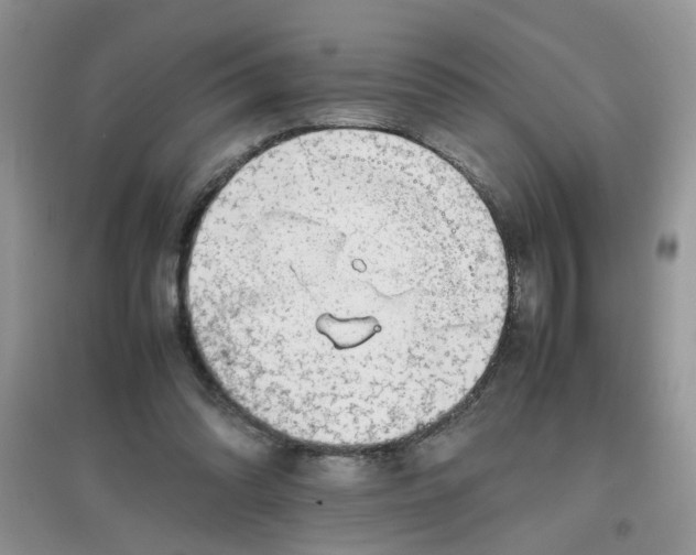 X0000097640302200803142053