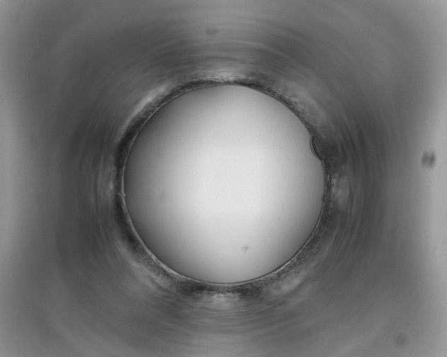 X0000097640304200803142053