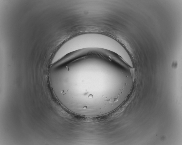 X0000097640305200803142053