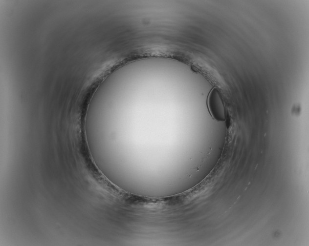 X0000097640306200803142053