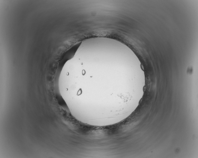 X0000097640307200803142053