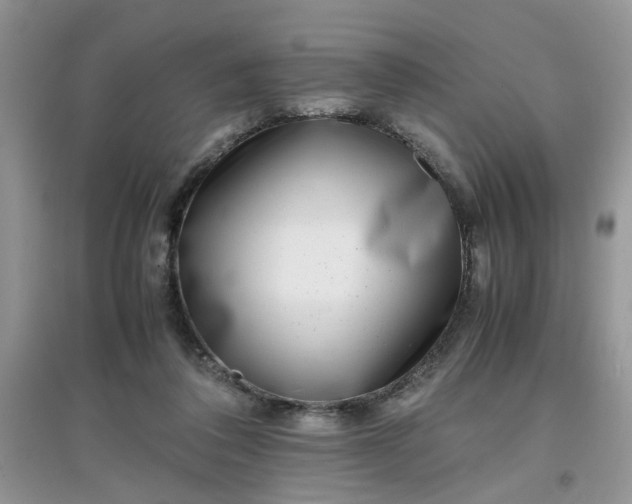 X0000097640308200803142053