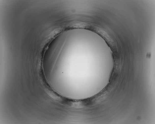 X0000097640309200803142053