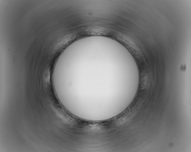 X0000097640310200803142053