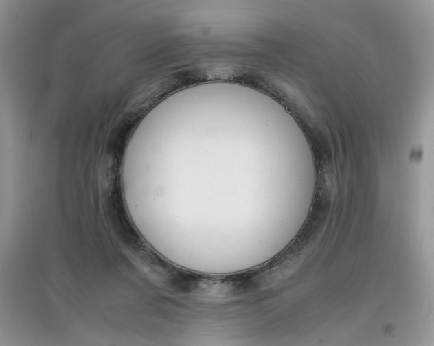 X0000097640311200803142053