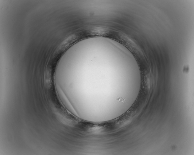 X0000097640312200803142053