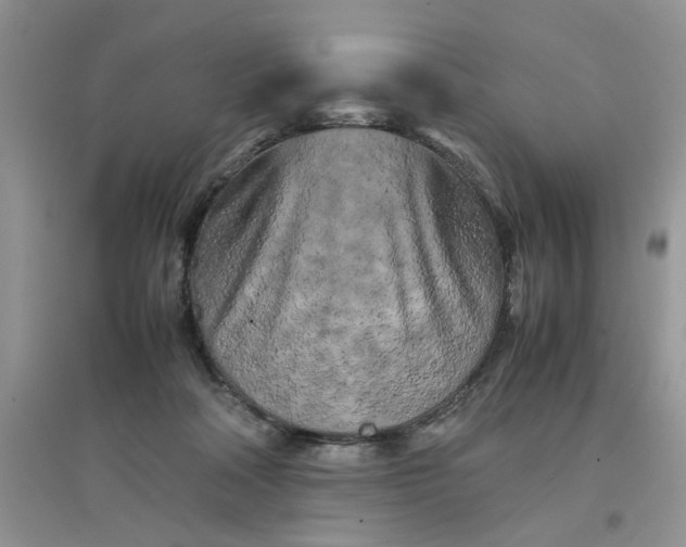 X0000097640314200803142053