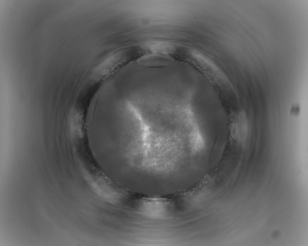 X0000097640316200803142053