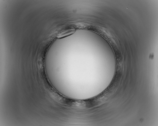 X0000097640317200803142053