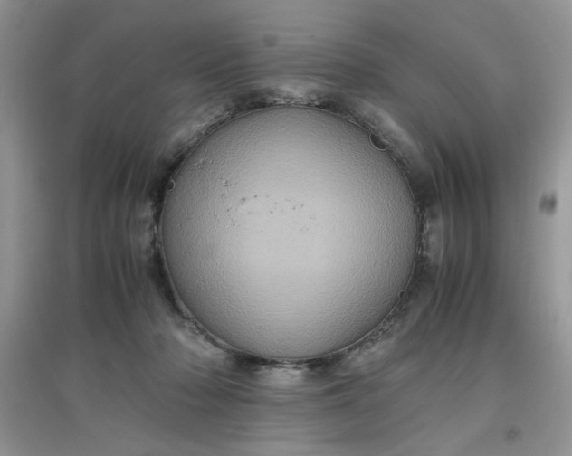 X0000097640318200803142053