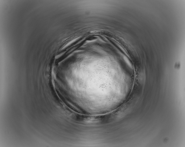 X0000097640319200803142053