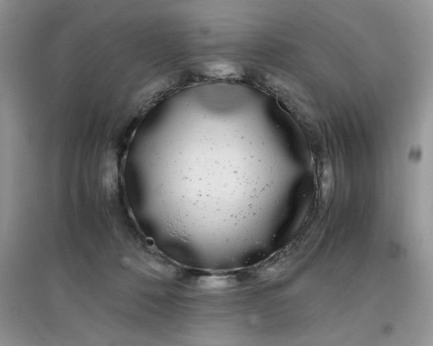 X0000097640320200803142053