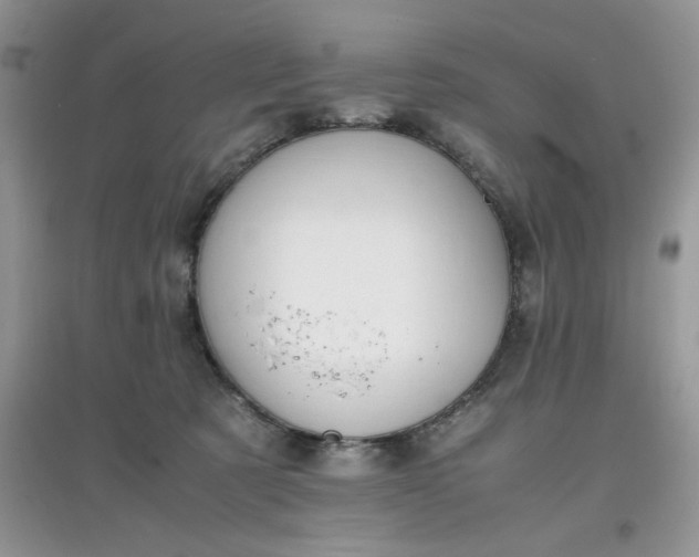 X0000097640321200803142053