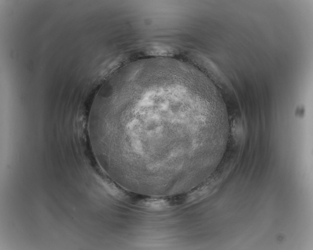 X0000097640322200803142053