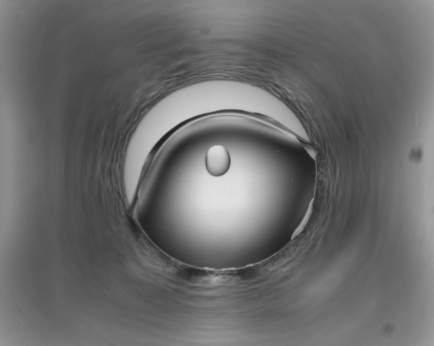 X0000097640323200803142052