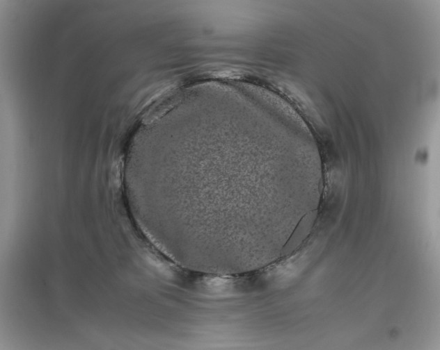 X0000097640325200803142052