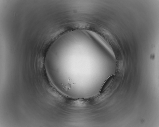 X0000097640326200803142052