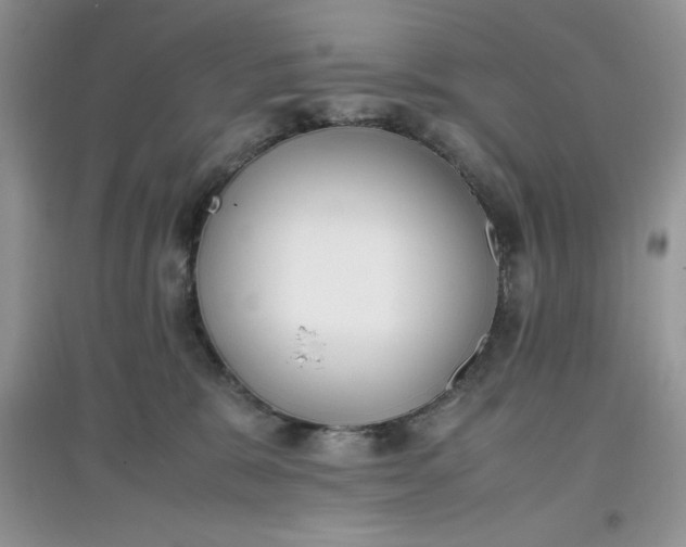 X0000097640327200803142052