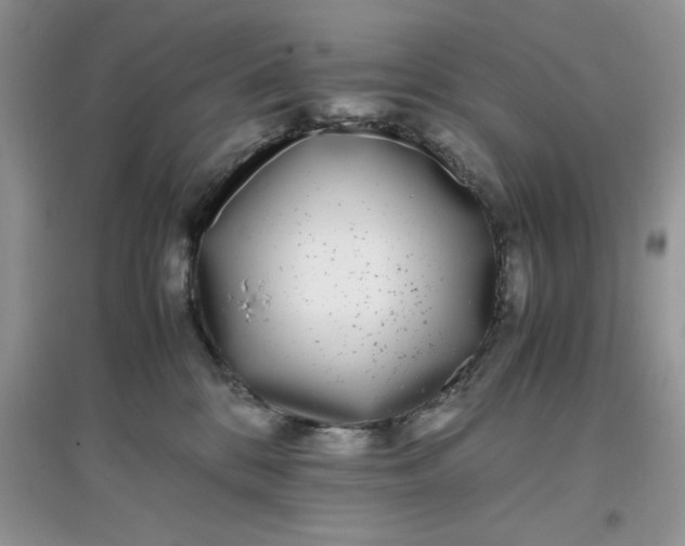 X0000097640328200803142052