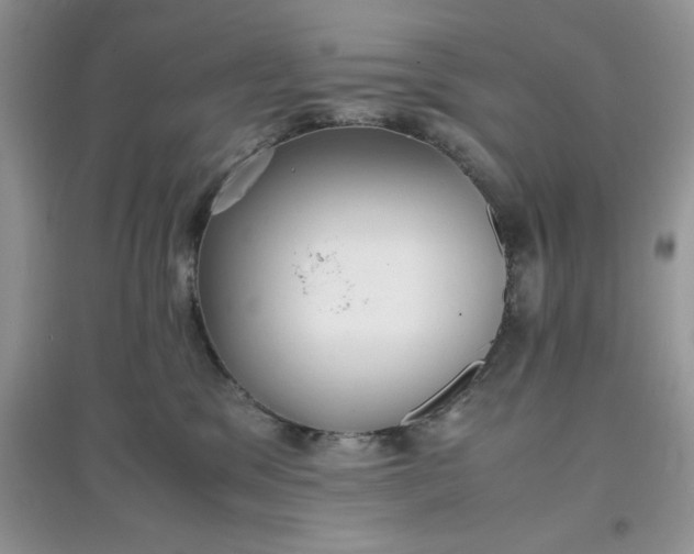 X0000097640329200803142052