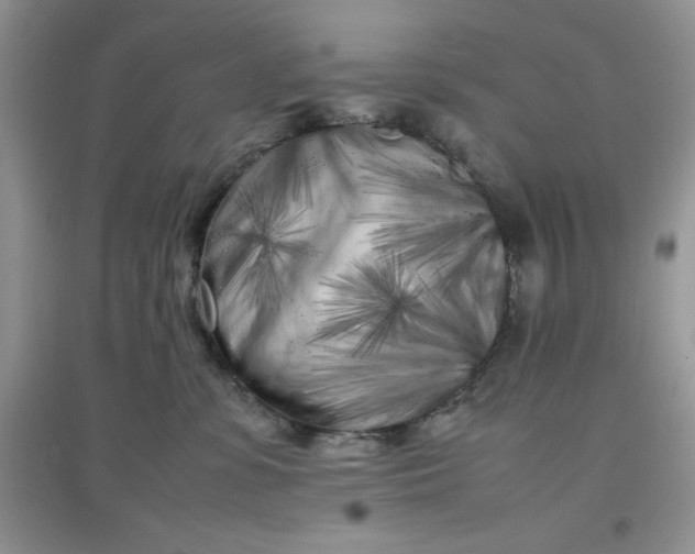 X0000097640331200803142052