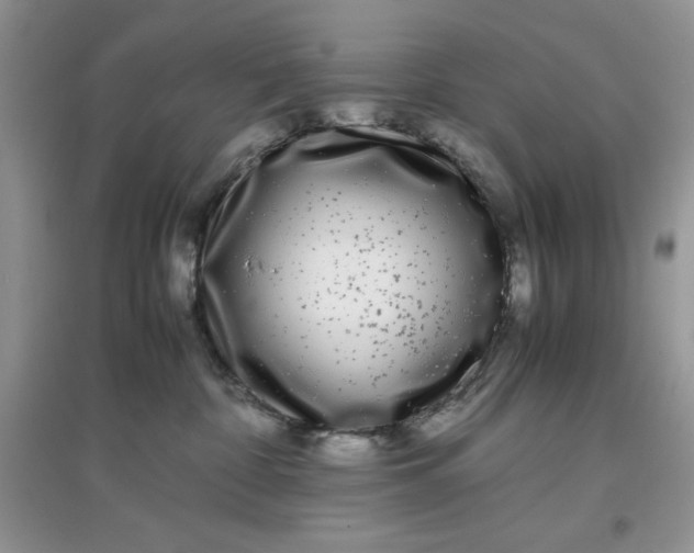 X0000097640332200803142052