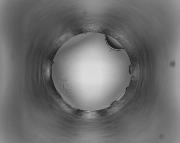 X0000097640334200803142052