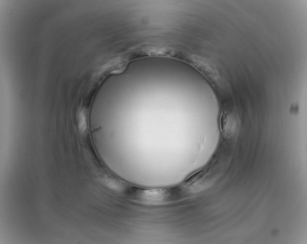 X0000097640335200803142052