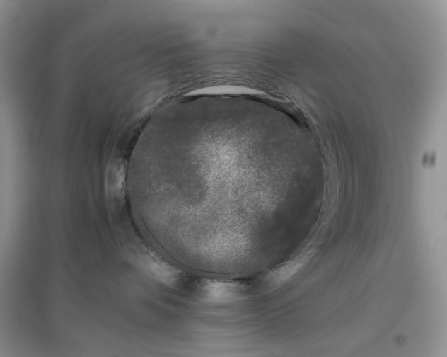 X0000097640336200803142052