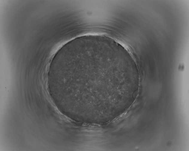 X0000097640337200803142051