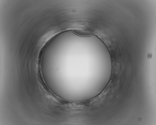 X0000097640338200803142052