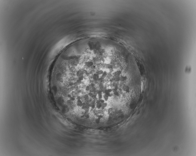 X0000097640339200803142052