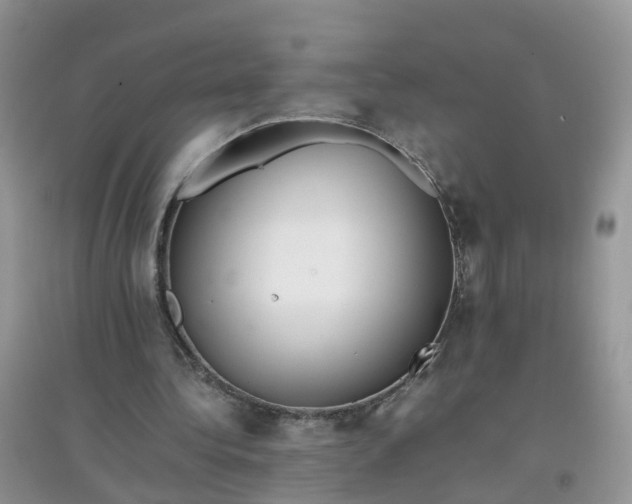 X0000097640340200803142052