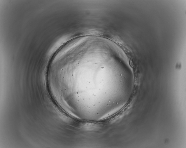 X0000097640341200803142052