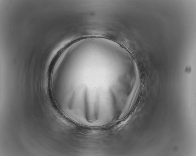 X0000097640342200803142052