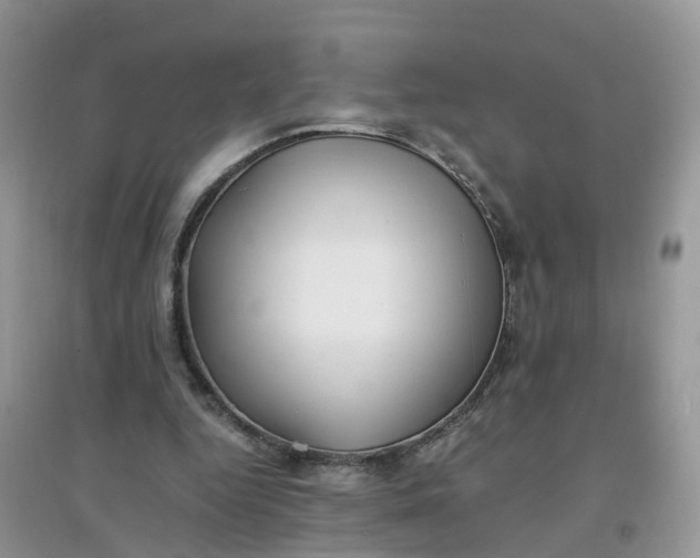 X0000097640344200803142052