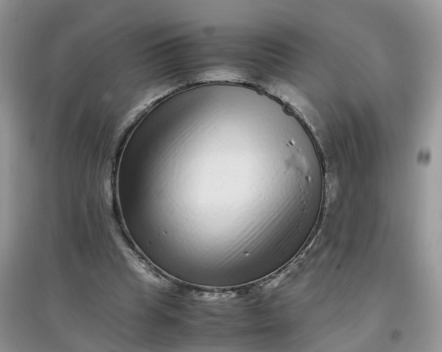 X0000097640345200803142052