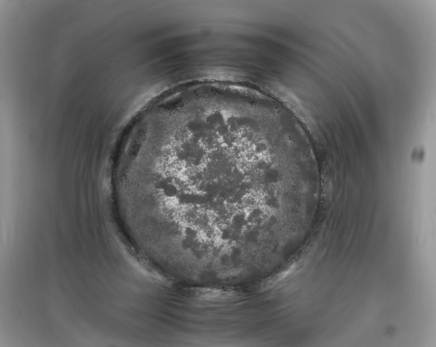 X0000097640347200803142052