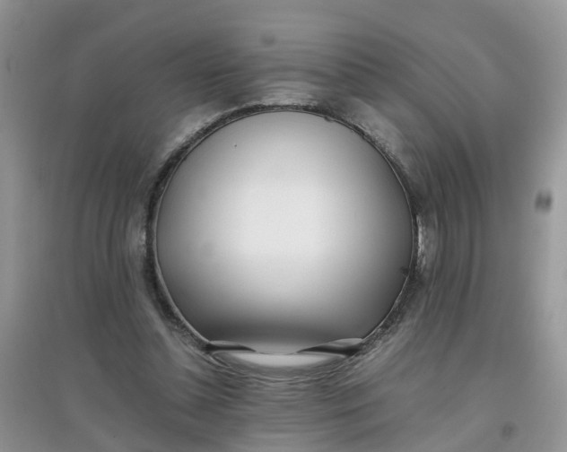 X0000097640348200803142052