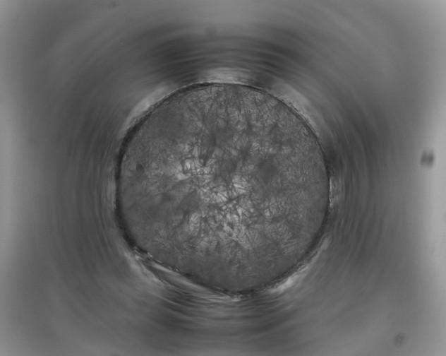 X0000097640349200803142052