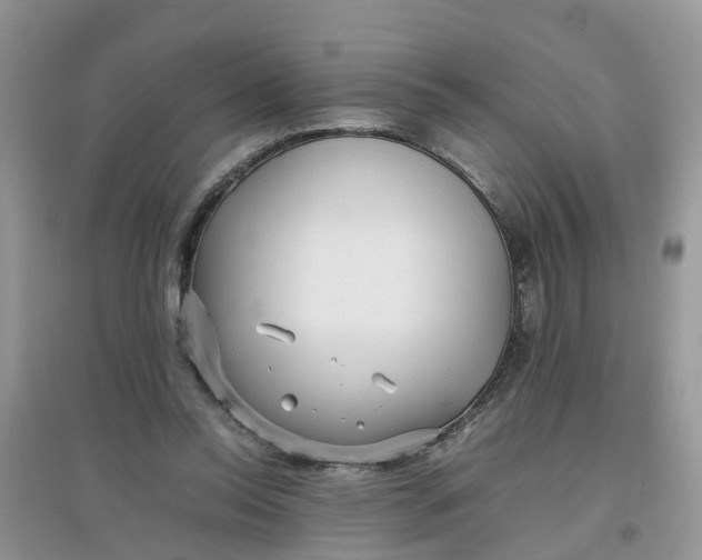 X0000097640350200803142052