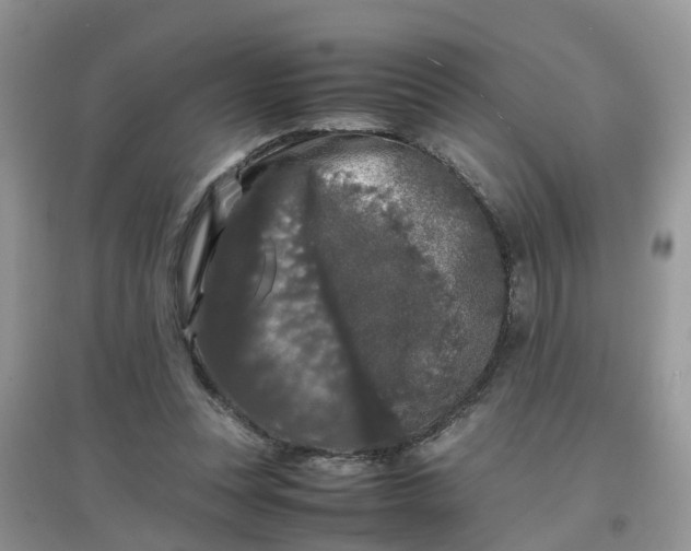 X0000097640351200803142052