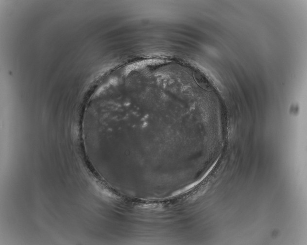 X0000097640353200803142052