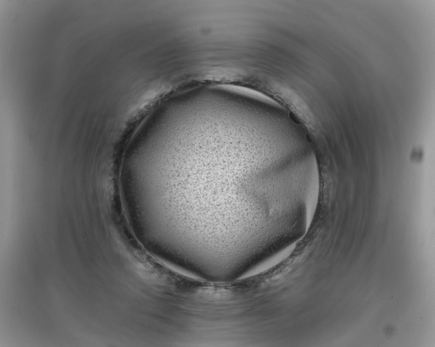 X0000097640354200803142052