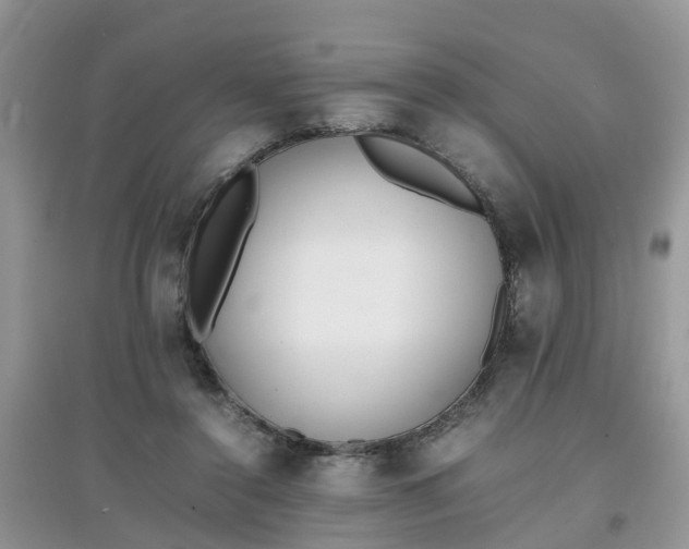 X0000097640356200803142052