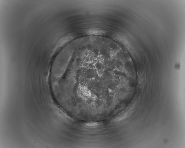 X0000097640357200803142052